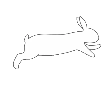 Bílý králík